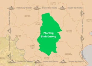 合併後的胡志明市平陽區：新面貌與發展潛力