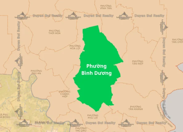 合併後的胡志明市平陽區：新面貌與發展潛力